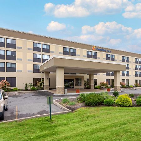 Comfort Inn Binghamton I-81 Zewnętrze zdjęcie