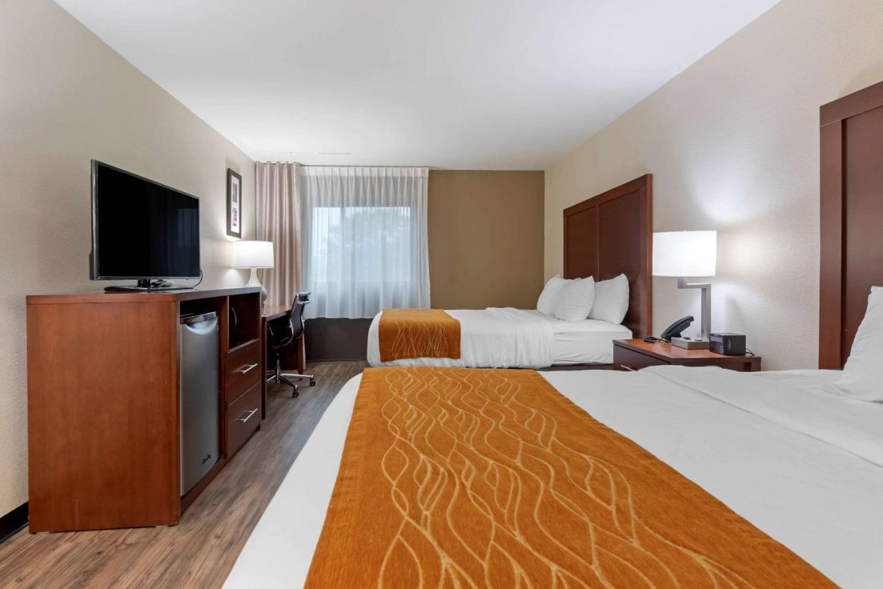 Comfort Inn Binghamton I-81 Zewnętrze zdjęcie
