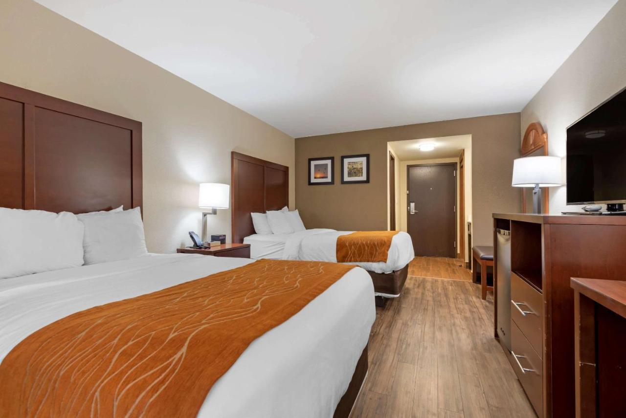 Comfort Inn Binghamton I-81 Zewnętrze zdjęcie