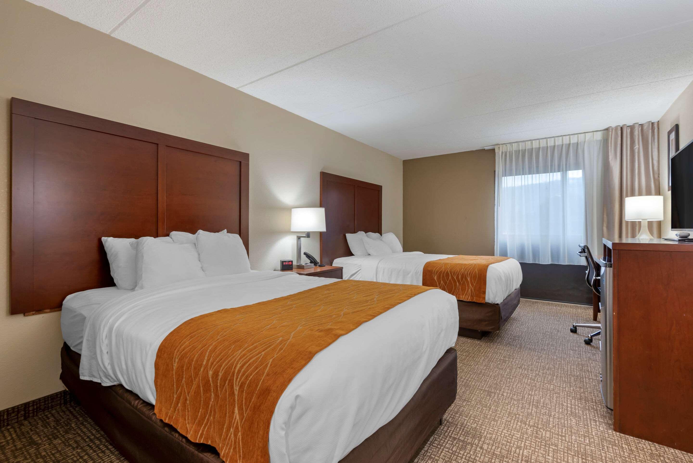 Comfort Inn Binghamton I-81 Zewnętrze zdjęcie
