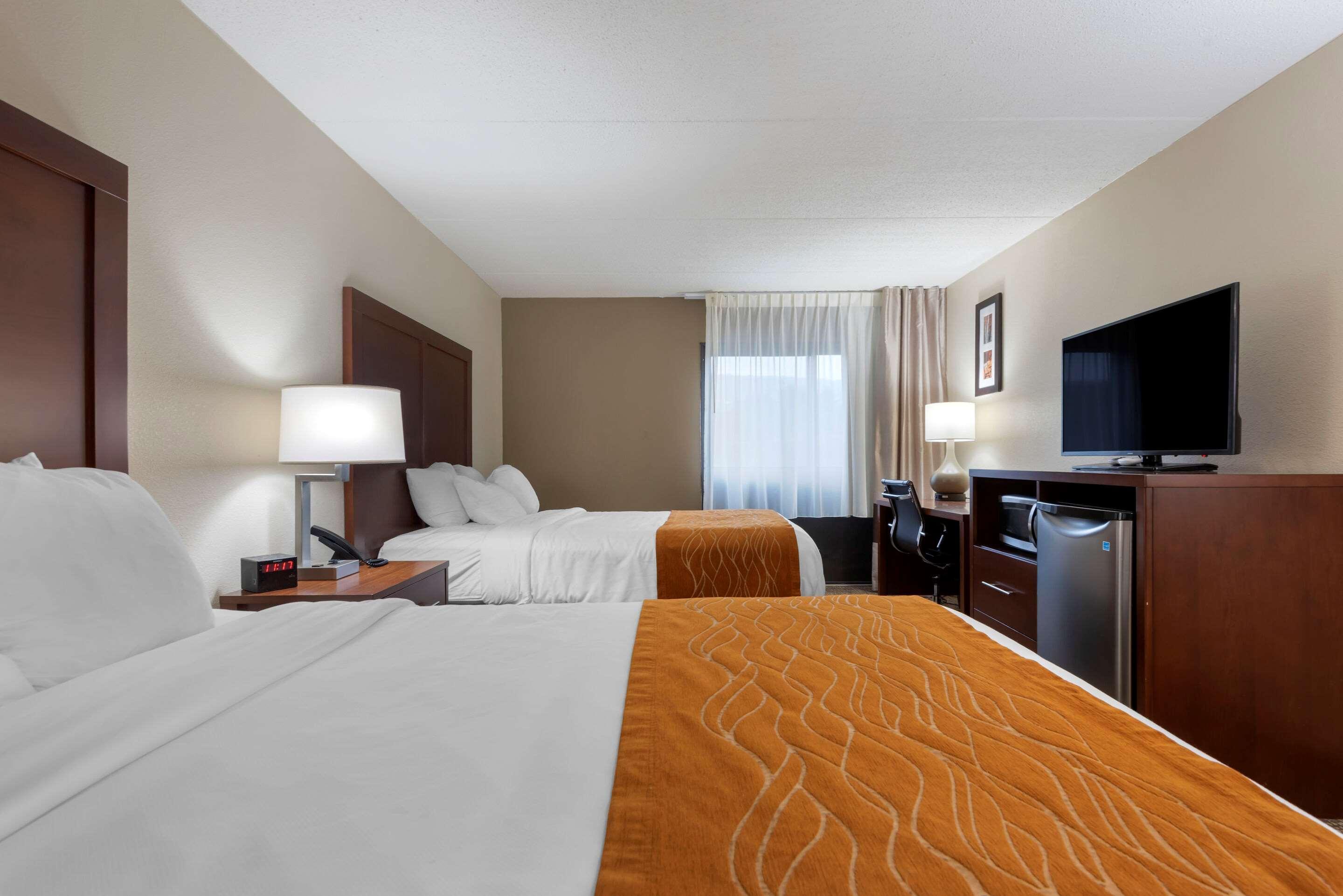 Comfort Inn Binghamton I-81 Zewnętrze zdjęcie