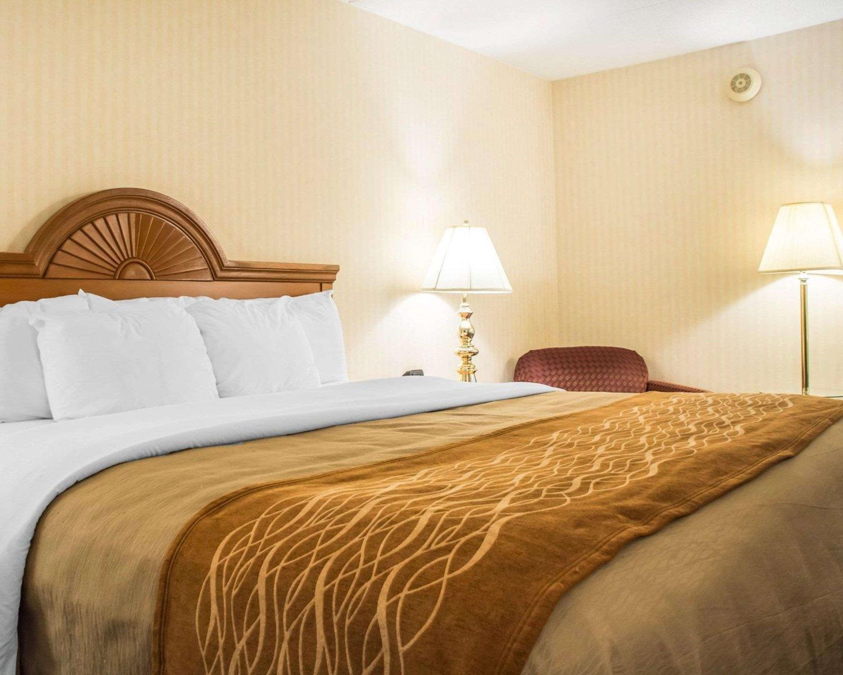 Comfort Inn Binghamton I-81 Zewnętrze zdjęcie