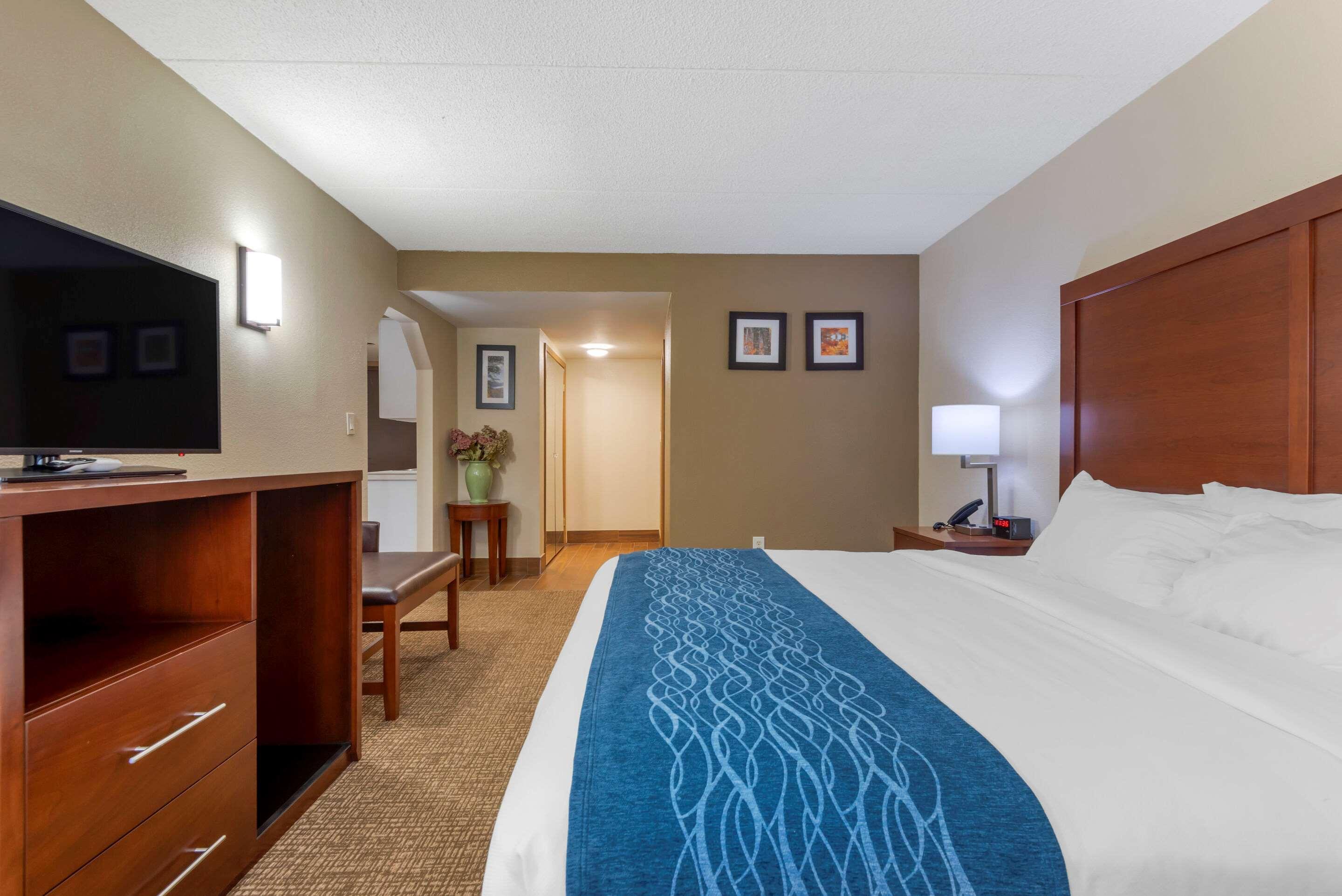 Comfort Inn Binghamton I-81 Zewnętrze zdjęcie