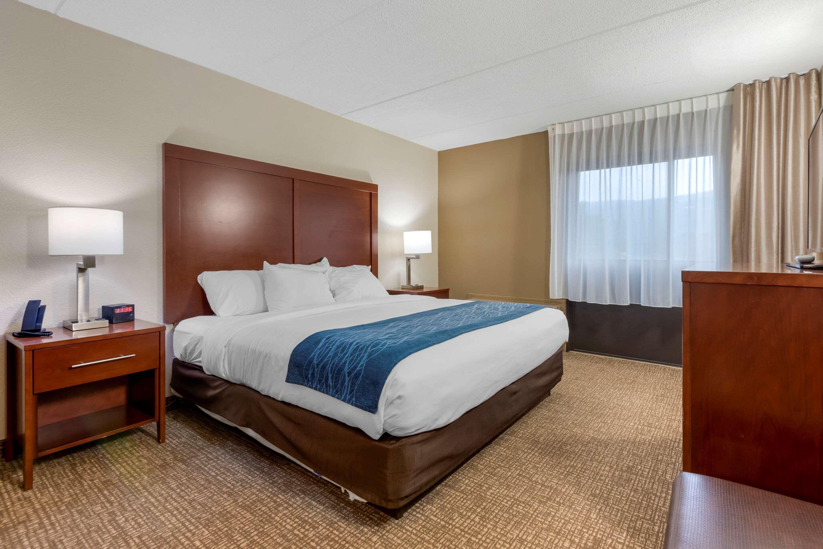 Comfort Inn Binghamton I-81 Zewnętrze zdjęcie