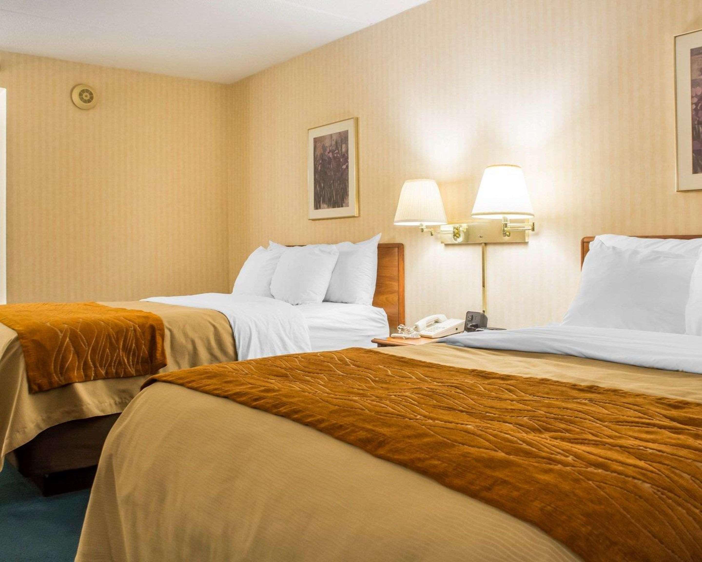 Comfort Inn Binghamton I-81 Zewnętrze zdjęcie